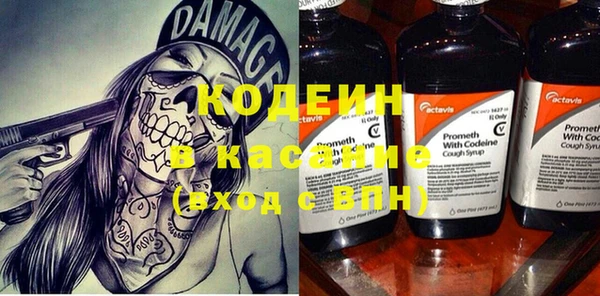 ешки Вяземский