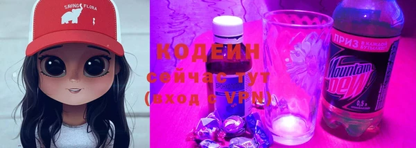 ешки Вяземский