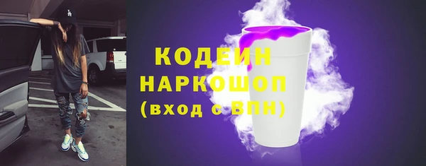 ешки Вяземский