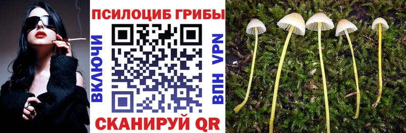 Псилоцибиновые грибы MAGIC MUSHROOMS  магазин    Ялуторовск 